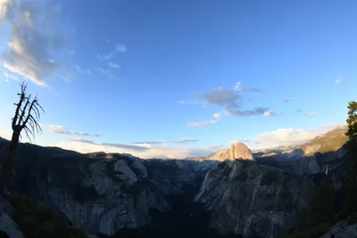 DSC_4238 (Large).JPG